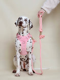 Charger l'image dans la visionneuse de la galerie, Laisse pour chien Rose
