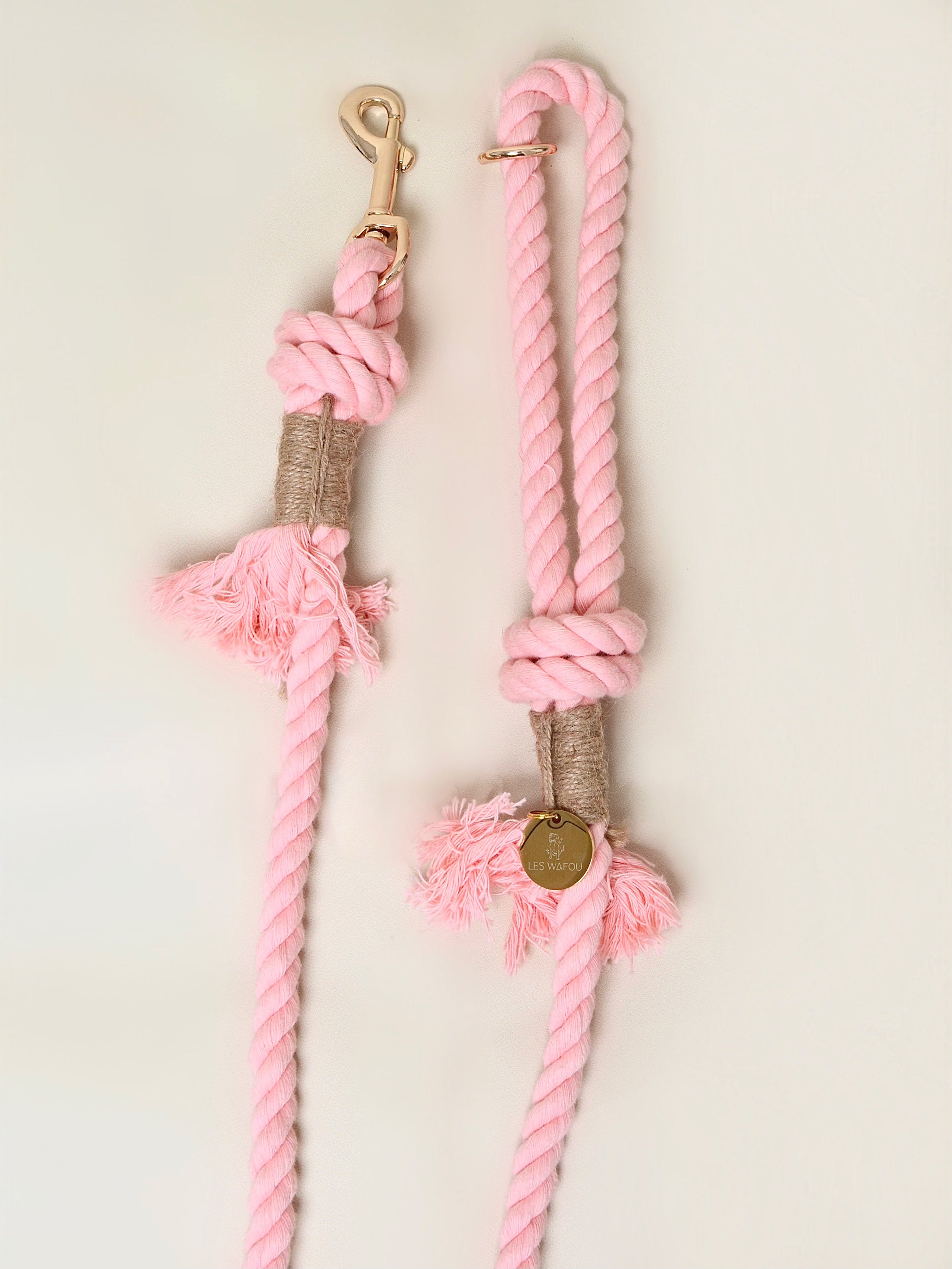 Laisse pour chien Rose