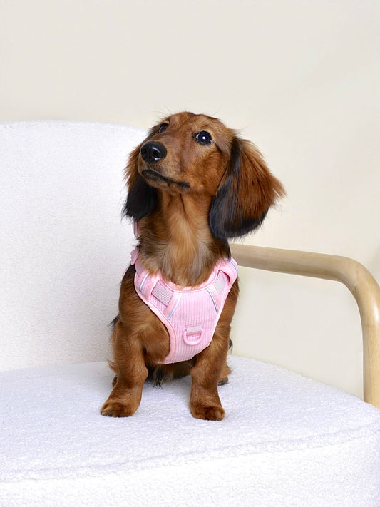 Harnais et sac à dos pour chien Rose