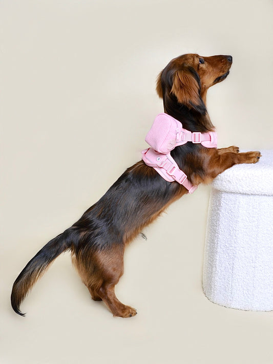 Harnais et sac à dos pour chien Rose
