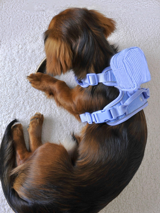 Harnais et sac à dos pour chien Lavande