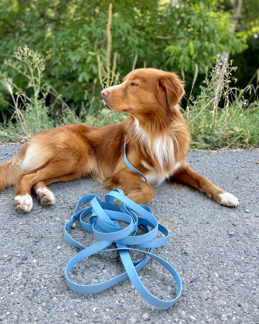 Longe pour chien imperméable Bleu glacier