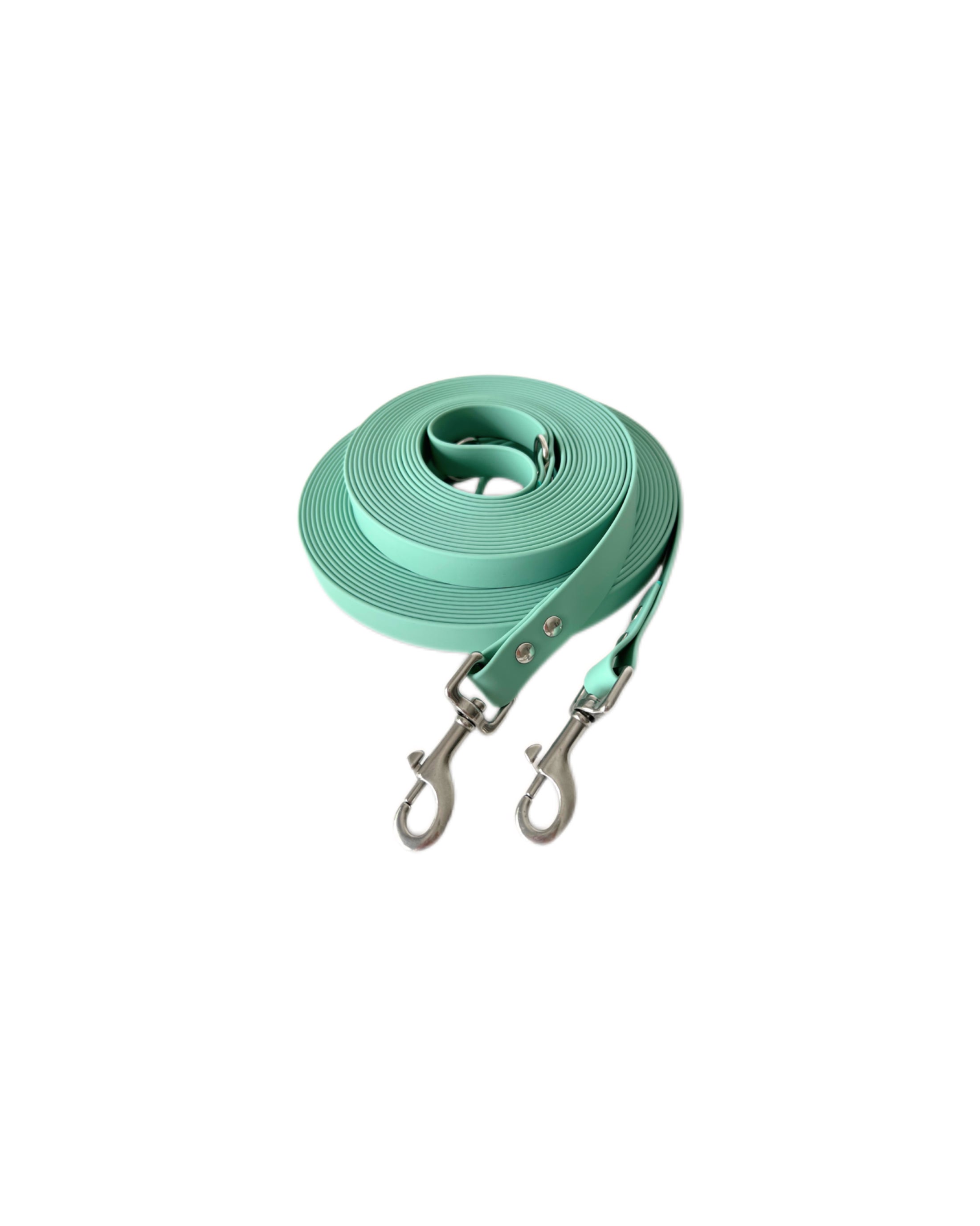 Longe pour chien imperméable Vert lagon
