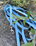 Charger l'image dans la visionneuse de la galerie, Longe pour chien imperméable Bleu glacier
