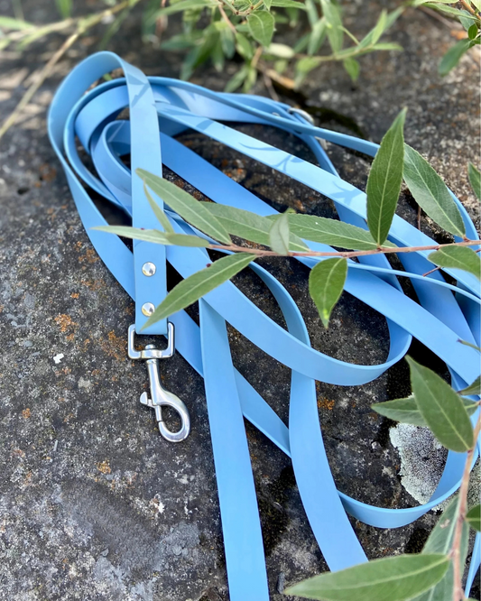 Longe pour chien imperméable Bleu glacier
